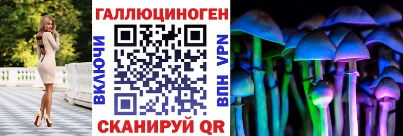 kraken маркетплейс  Невьянск  Псилоцибиновые грибы Cubensis  цены  